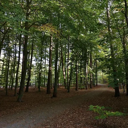 شقة Nadmorski W Lesie