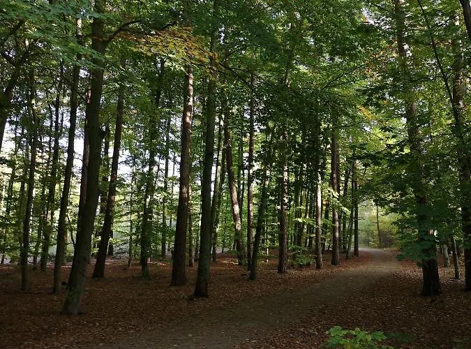 דירה Nadmorski W Lesie